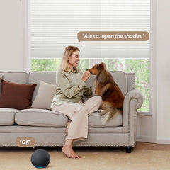 Kincmo Light Filtering Motorized Cellular Shades