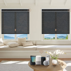 Kincmo Motorized Light Filtering Roller Shades 60% Blackout - Atlantic