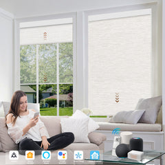 Kincmo Motorized Dual Shades