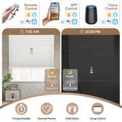 Kincmo Light Filtering Motorized Double-Cell Cellular Shades