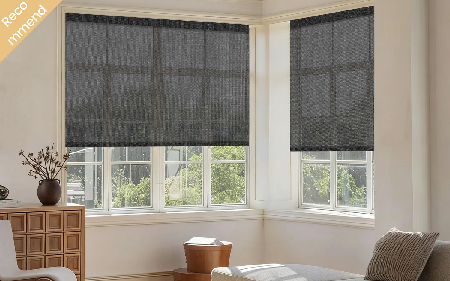 Shop - Starter Picks