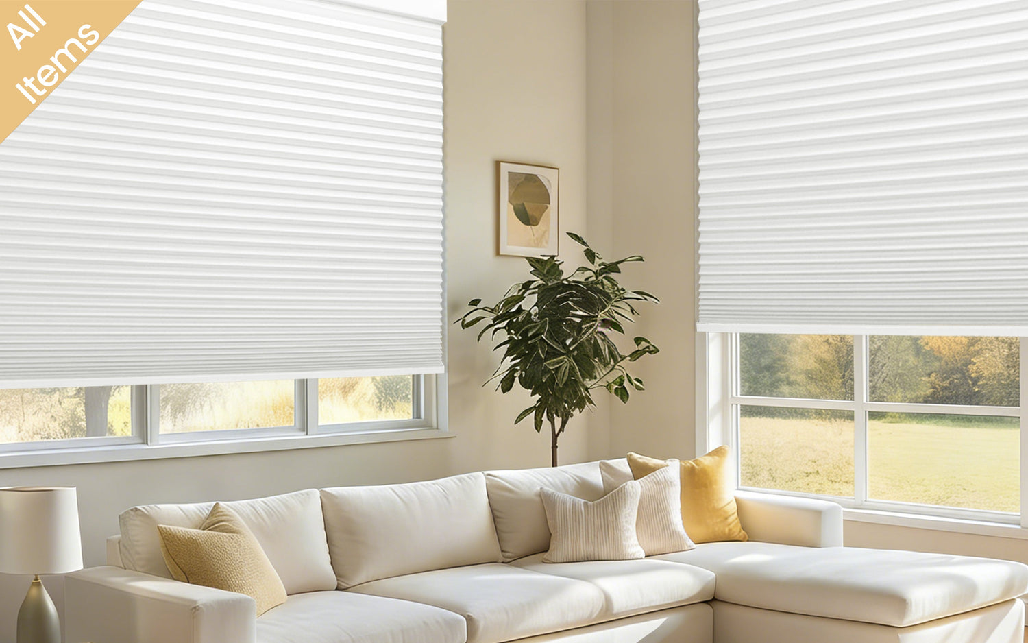 Motorized Shades & Blinds