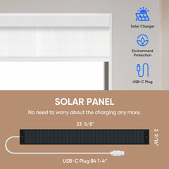 Solar Panel