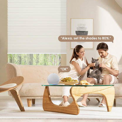 Kincmo Noise-Reducing, Light Filtering Motorized Cellular Shades | Double-Cell