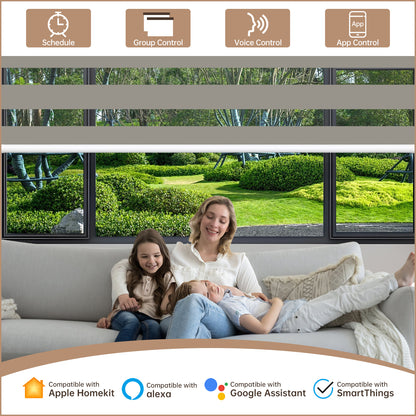 Kincmo Motorized Zebra Shades 95% Blackout - Gabriel