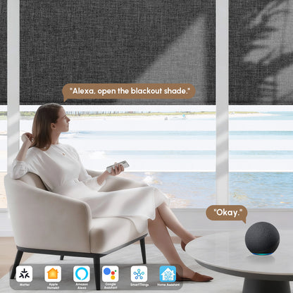 Kincmo Motorized Dual Shades | Roller Shades & Zebra Shades