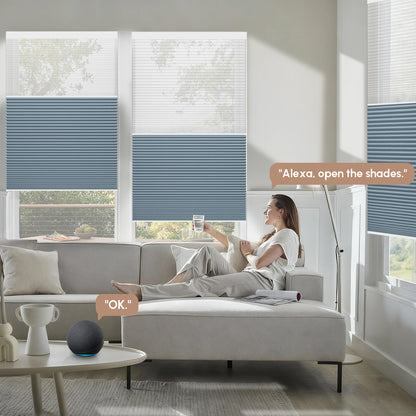Kincmo Motorized Day/Night Cellular Shades