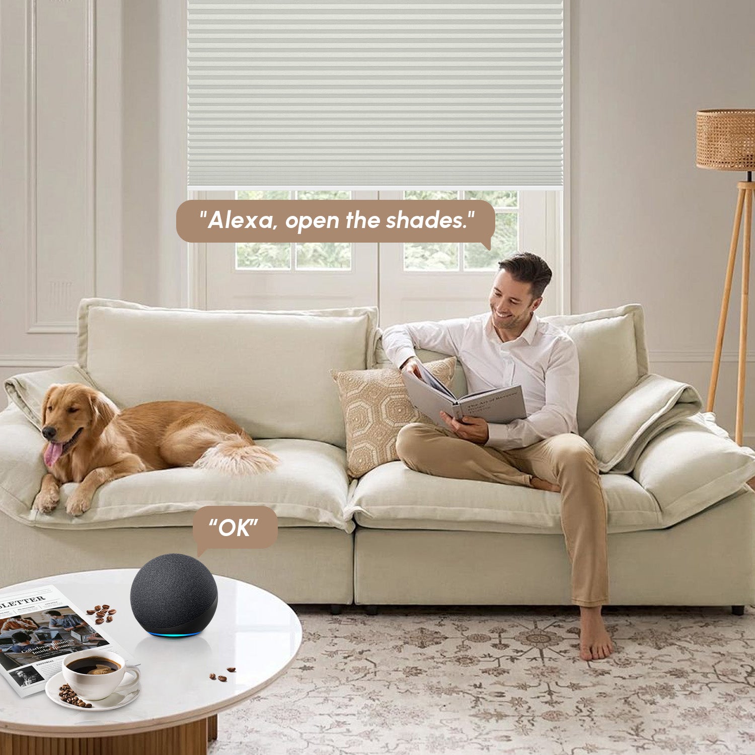 Motorized Blackout Cellular Shades, Double Cell Blinds | Kincmo