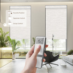 Hand Held Remote