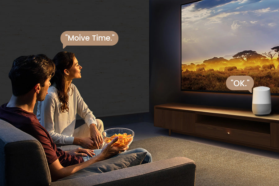 Voice Controlled Shades