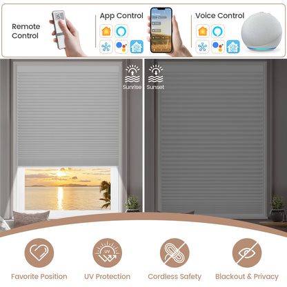 Kincmo Light Filtering Motorized Cellular Shades