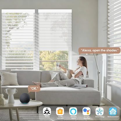 Kincmo Motorized Light Filtering Sheer Shades 75% Blackout - Soft