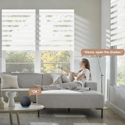 Kincmo No Drill Zebra Shades, Motorized 60/75% Blackout - Monet